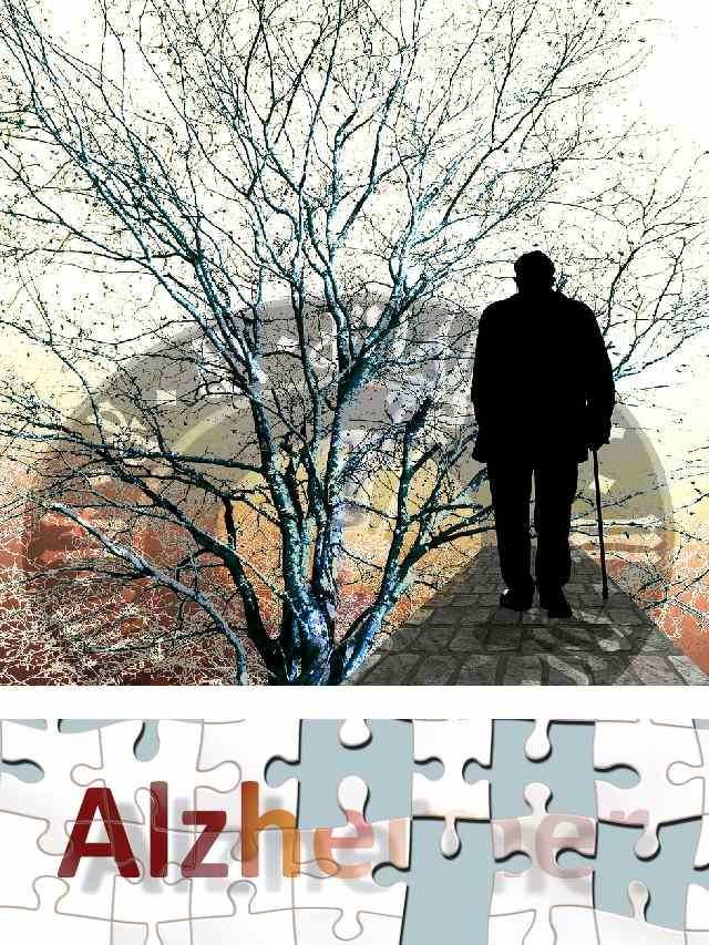 >అల్జీమర్స్ గురించి నిజాలు..