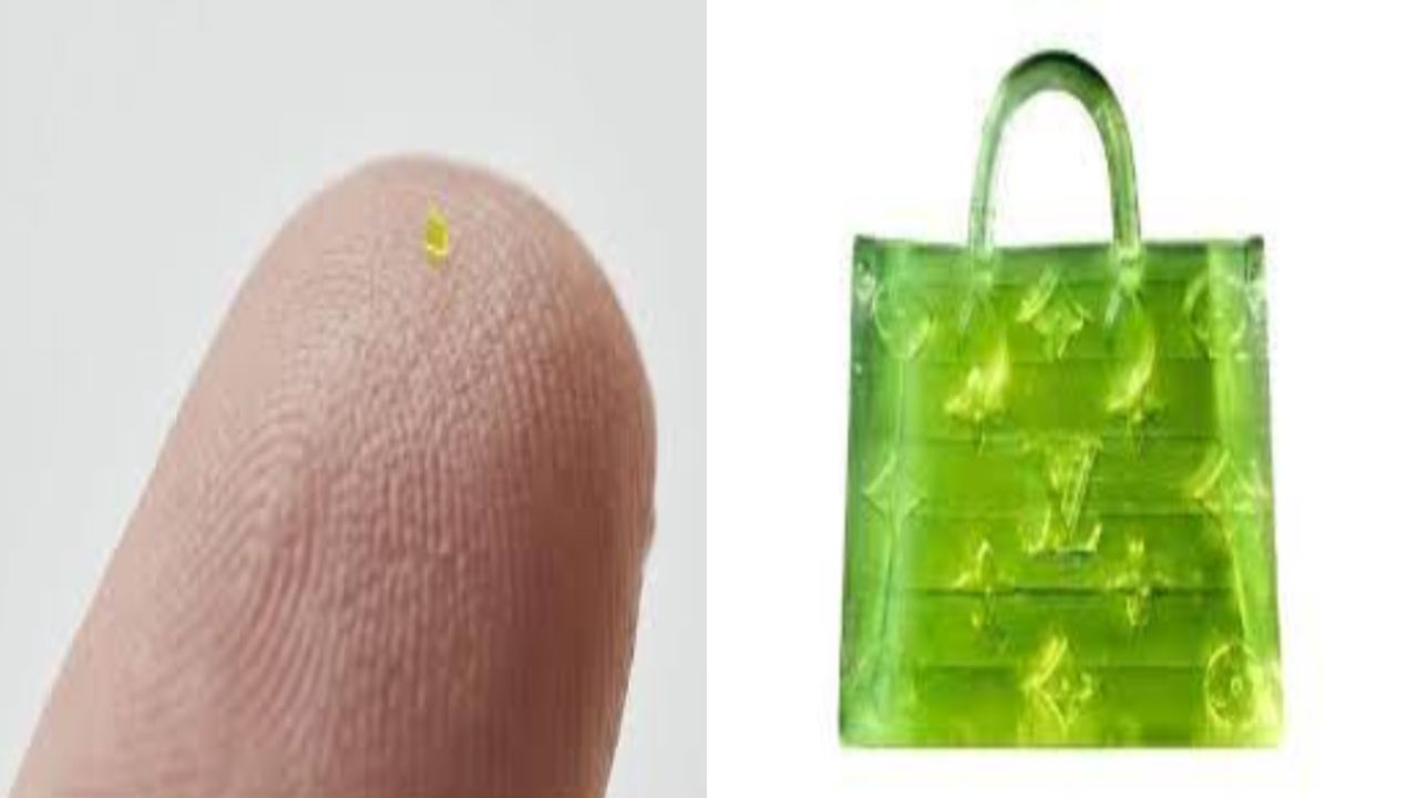 Designer Bag : అతి చిన్న డిజైనర్ బ్యాగ్.. వేలంలో దాని ధర రూ.51 లక్షలు Designer Bag : అతి చిన్న డిజైనర్ బ్యాగ్.. వేలంలో దాని ధర రూ.51 లక్షలు