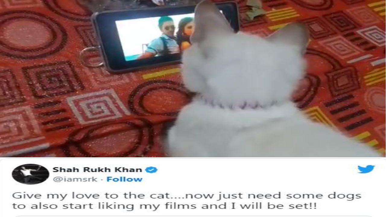 Shah Rukh Khan : షారూఖ్ పాటను చూస్తూ ఎంజాయ్ చేసిన పిల్లి.. రెస్పాండ్ అయిన షారూఖ్ ఖాన్ Shah Rukh Khan : షారూఖ్ పాటను చూస్తూ ఎంజాయ్ చేసిన పిల్లి.. రెస్పాండ్ అయిన షారూఖ్ ఖాన్