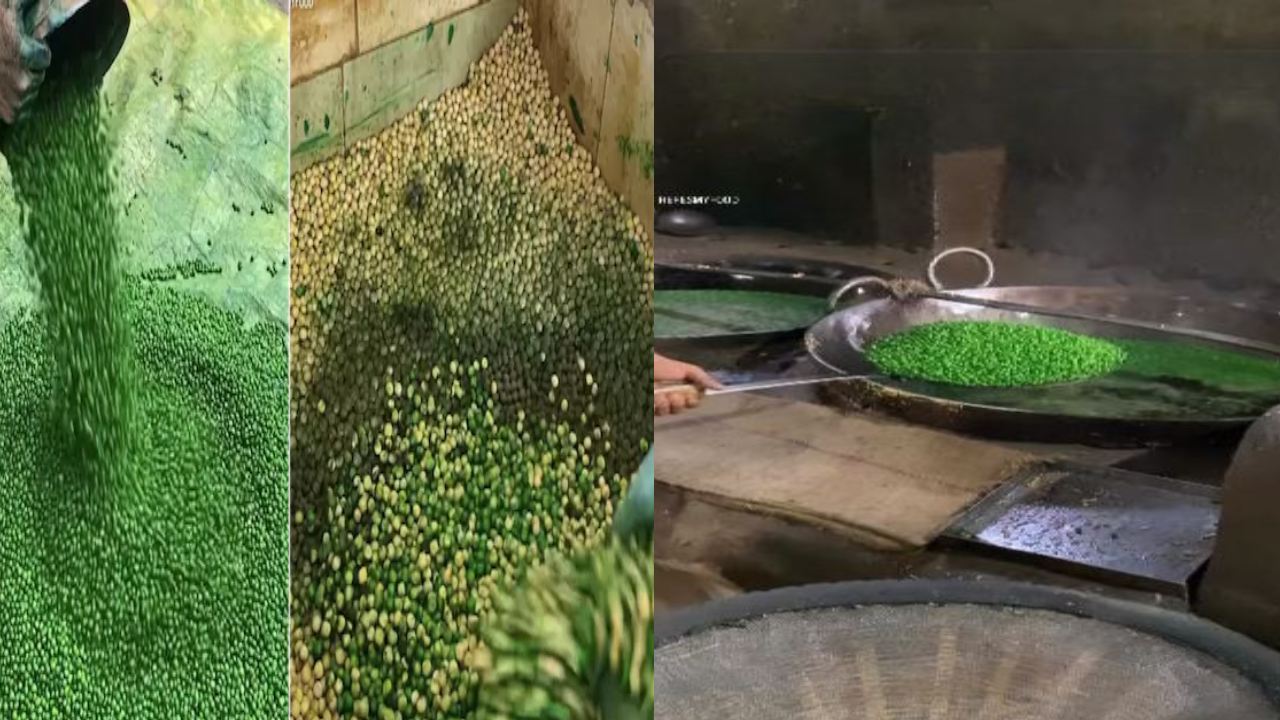 Salted Green Matar : సాల్టెడ్ పచ్చి బఠానీలు తయారీ చూస్తే తినడానికి ఆలోచిస్తారు Salted Green Matar : సాల్టెడ్ పచ్చి బఠానీలు తయారీ చూస్తే తినడానికి ఆలోచిస్తారు