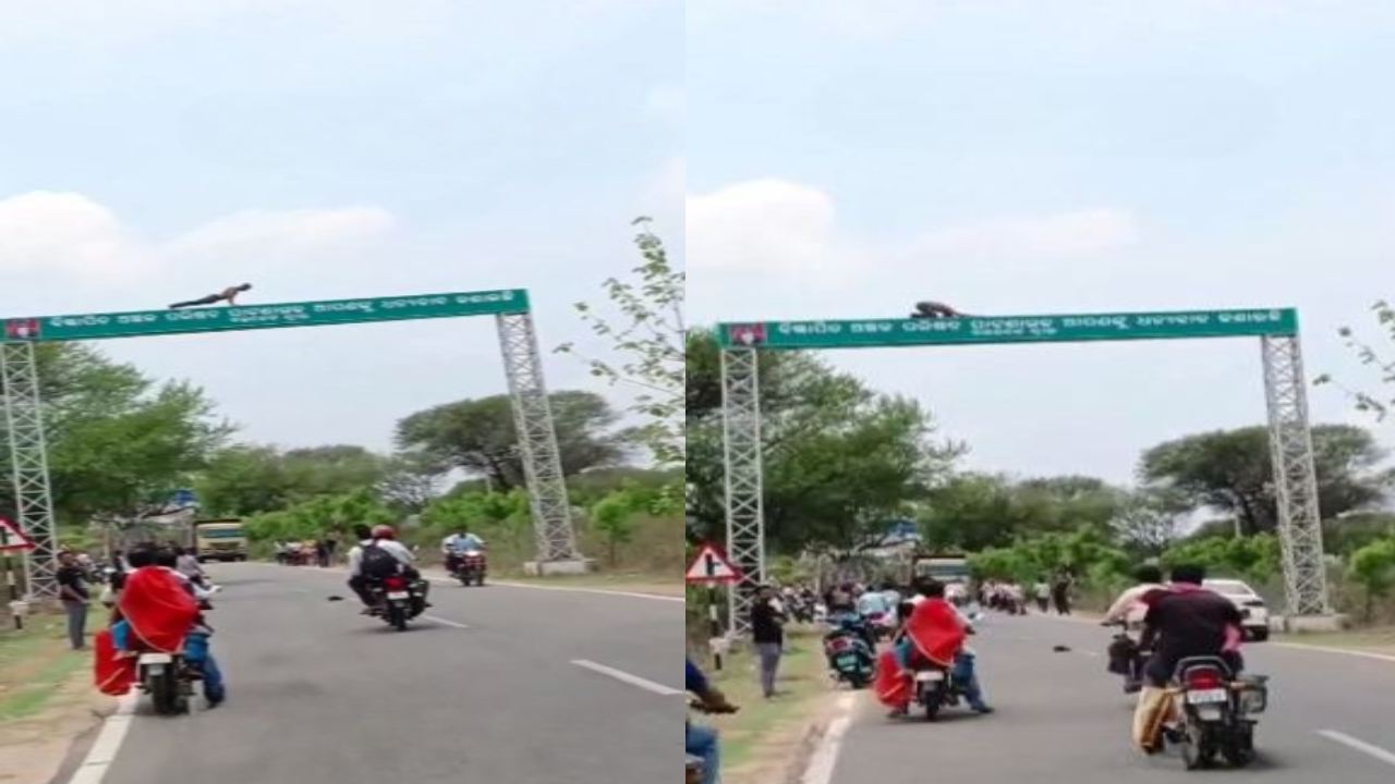 Odisha : మద్యం మత్తులో సైన్ బోర్డుపై పుష్-అప్లు చేసిన వ్యక్తి వీడియో వైరల్ Odisha : మద్యం మత్తులో సైన్ బోర్డుపై పుష్-అప్లు చేసిన వ్యక్తి వీడియో వైరల్