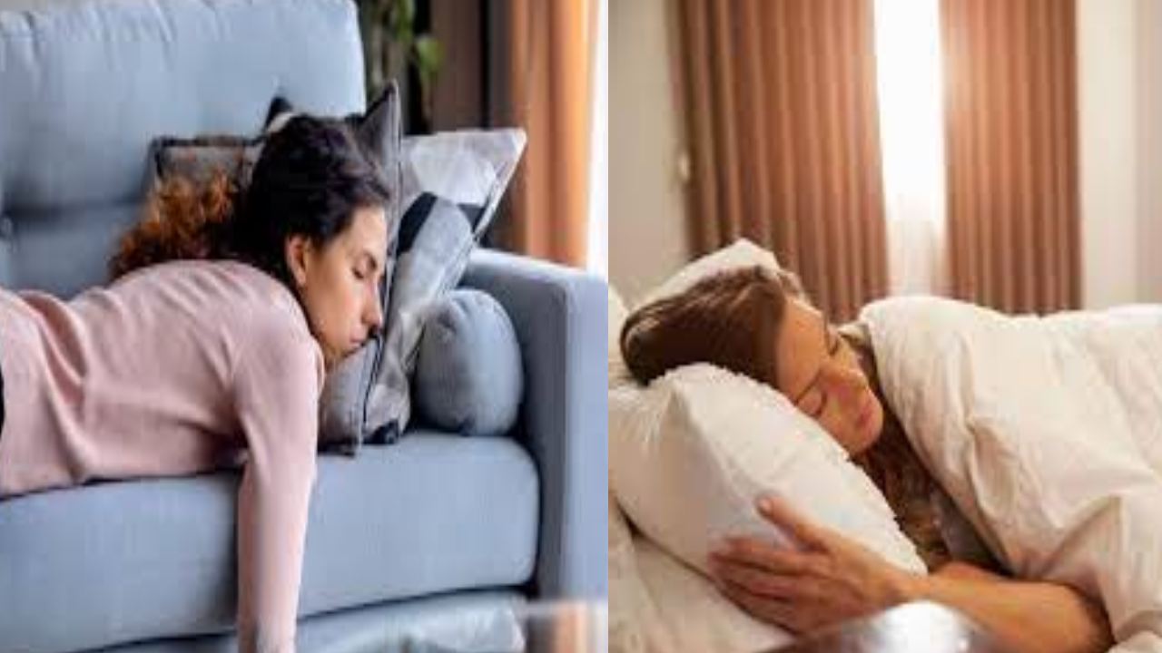 Day time sleep : పగటి పూట నిద్ర మెదడుకి మంచిదట.. పరిశోధకులు ఏమన్నారంటే.. Day time sleep : పగటి పూట నిద్ర మెదడుకి మంచిదట.. పరిశోధకులు ఏమన్నారంటే..