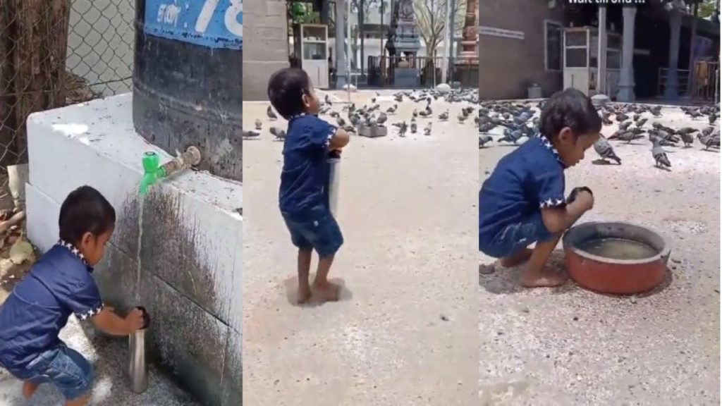 Small Boy Video Viral