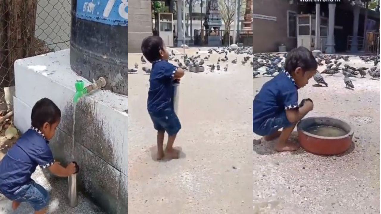 Small Boy Video Viral : పక్షులకు నీరు అందిస్తూ నెటిజన్ల మనసు దోచుకున్న చిన్నారి Small Boy Video Viral : పక్షులకు నీరు అందిస్తూ నెటిజన్ల మనసు దోచుకున్న చిన్నారి