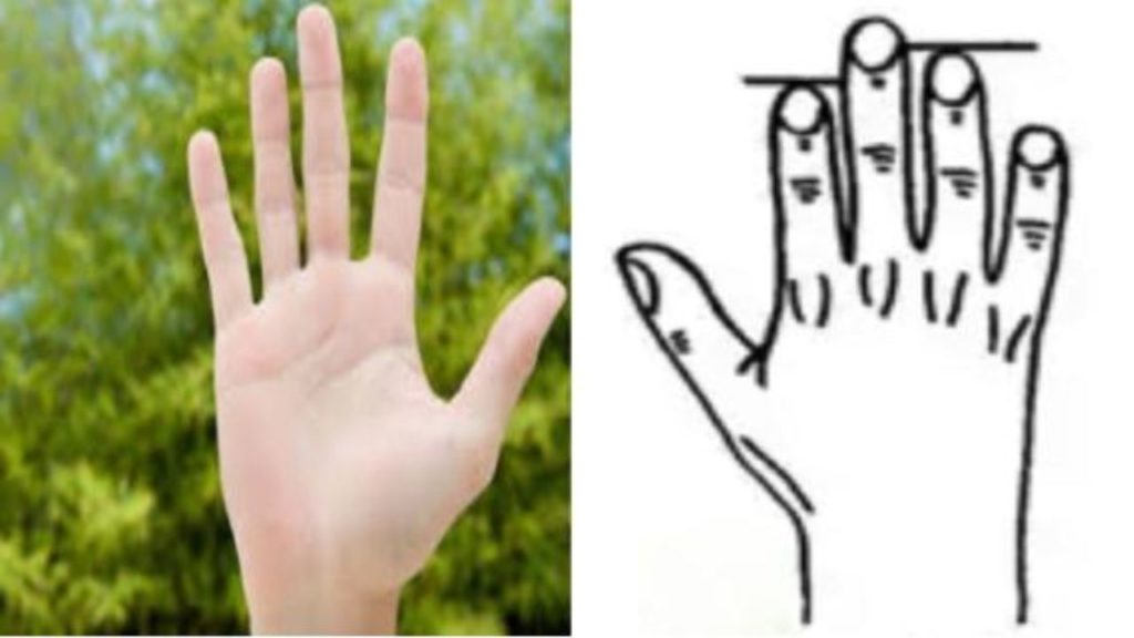 Finger length tells the personality