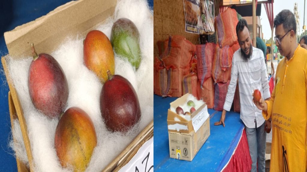 Expensive Mango Miyazaki