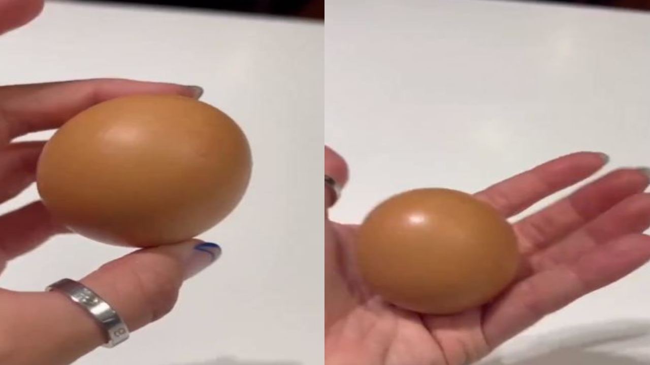 Round Egg : బిలియన్లలో ఒకటి ఈ ‘రౌండ్ ఎగ్’.. ధరెంతో తెలుసా?.. జస్ట్ రూ.1,14,954 అంతే.. Round Egg : బిలియన్లలో ఒకటి ఈ ‘రౌండ్ ఎగ్’.. ధరెంతో తెలుసా?.. జస్ట్ రూ.1,14,954 అంతే..