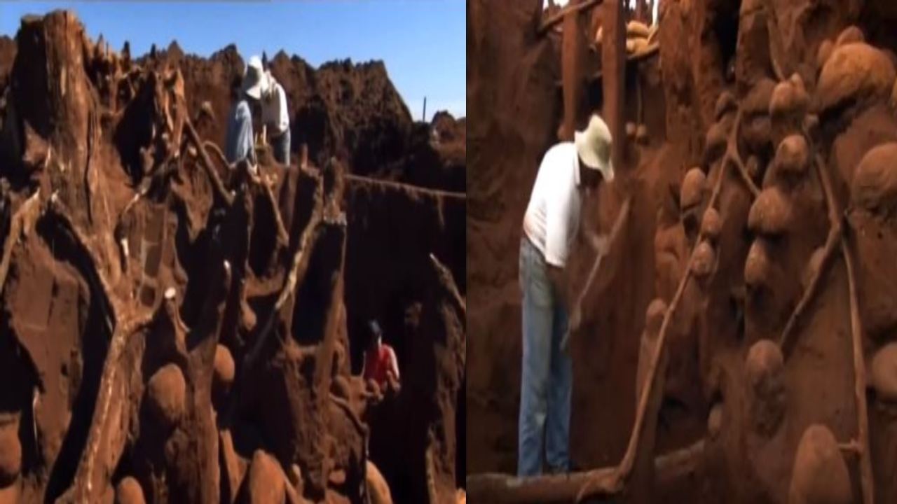 ‘Mega-city’ under the ant hill : చీమలు కట్టిన ‘మెగా-సిటీ’ .. ఔరా అంటారు ‘Mega-city’ under the ant hill : చీమలు కట్టిన ‘మెగా-సిటీ’ .. ఔరా అంటారు