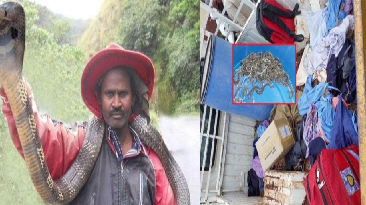 Snake catcher died of a snake bite : పాము కాటుతో నరేశ్ మృతి.. కారు, బైక్ డిక్కీ నిండా పాములే పాములు.. Snake catcher died of a snake bite : పాము కాటుతో నరేశ్ మృతి.. కారు, బైక్ డిక్కీ నిండా పాములే పాములు..