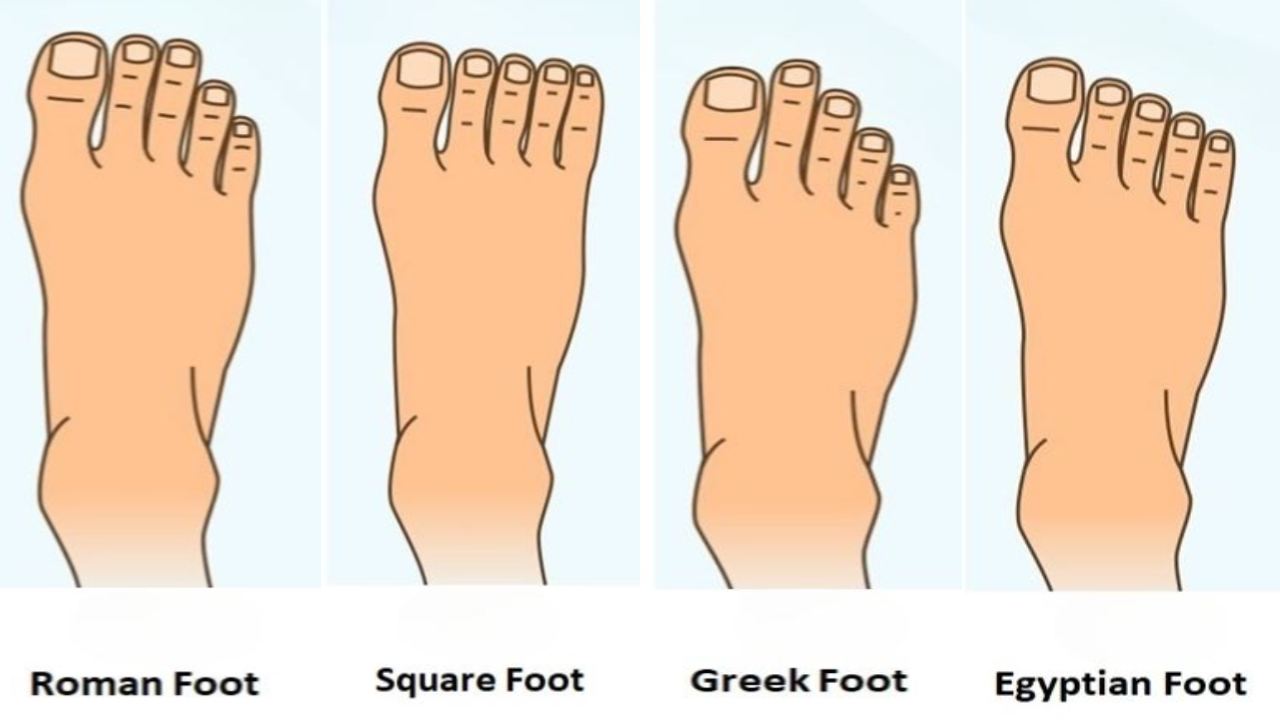 Foot shape tells personality : మీ పాదం షేప్.. మీ వ్యక్తిత్వం చెప్పేస్తుంది.. మీరు..మీ ఫ్యామిలీ మెంబర్స్తో కలిసి చెక్ చేసుకోండి Foot shape tells personality : మీ పాదం షేప్.. మీ వ్యక్తిత్వం చెప్పేస్తుంది.. మీరు..మీ ఫ్యామిలీ మెంబర్స్తో కలిసి చెక్ చేసుకోండి