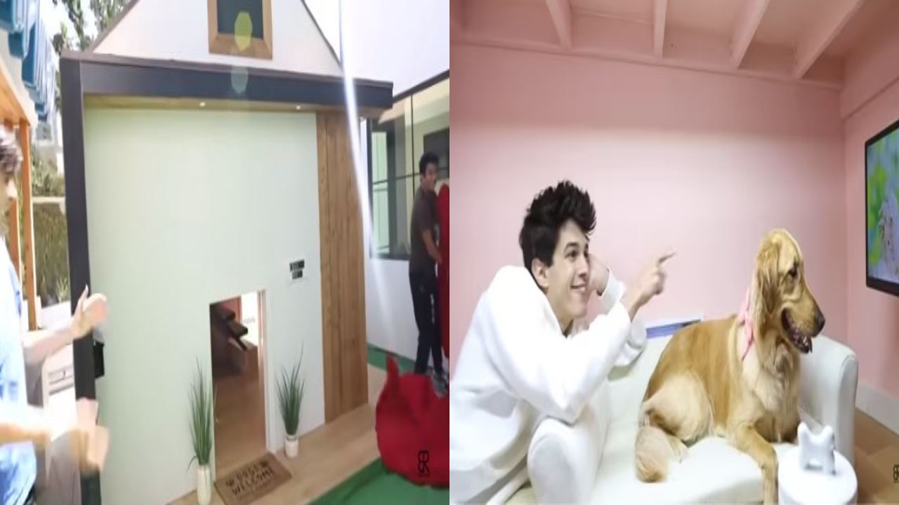 Luxury house for a pet dog : పెంపుడు కుక్కకి రూ.25 వేల డాలర్ల లగ్జరీ హౌజ్ కట్టిన యూట్యూబర్ Luxury house for a pet dog : పెంపుడు కుక్కకి రూ.25 వేల డాలర్ల లగ్జరీ హౌజ్ కట్టిన యూట్యూబర్