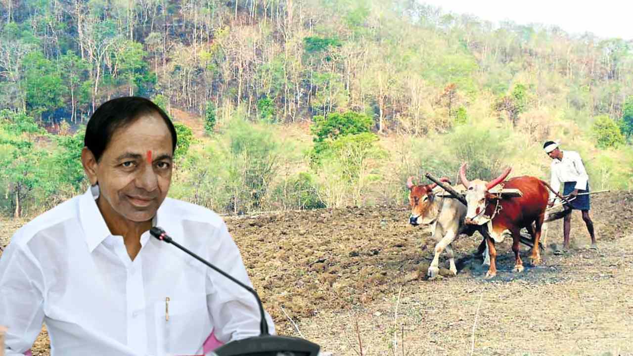 Podu Land Pattas : ఫలించిన పోడు భూముల పోరాటం… అసిఫాబాద్ వేదికగా నేడు గిరిజనులకు పోడు పట్టాల పంపిణీ Podu Land Pattas : ఫలించిన పోడు భూముల పోరాటం… అసిఫాబాద్ వేదికగా నేడు గిరిజనులకు పోడు పట్టాల పంపిణీ