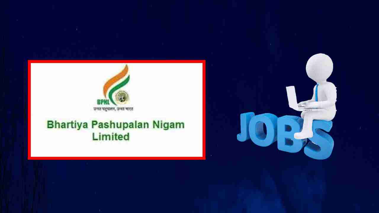 BPNL Recruitment : భారతీయ పశుపాలన్ నిగమ్ లిమిటెడ్ లో ఉద్యోగ ఖాళీల భర్తీ BPNL Recruitment : భారతీయ పశుపాలన్ నిగమ్ లిమిటెడ్ లో ఉద్యోగ ఖాళీల భర్తీ