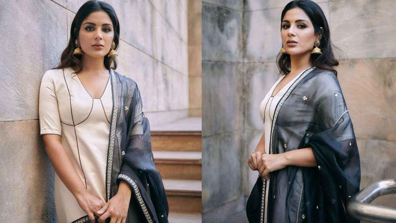 Samyuktha : చుడీదార్‌లో సంయుక్త క్లాసీ ఫోజులు..