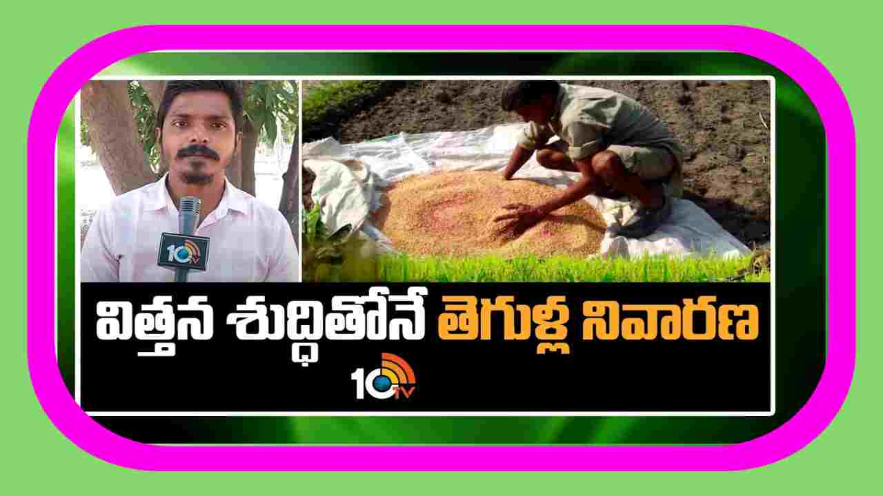 Seed Treatment : విత్తన శుద్దితోనే చీడపీడల నివారణ.. పెట్టుబడులు తగ్గి, అధిక దిగుబడులు Seed Treatment : విత్తన శుద్దితోనే చీడపీడల నివారణ.. పెట్టుబడులు తగ్గి, అధిక దిగుబడులు