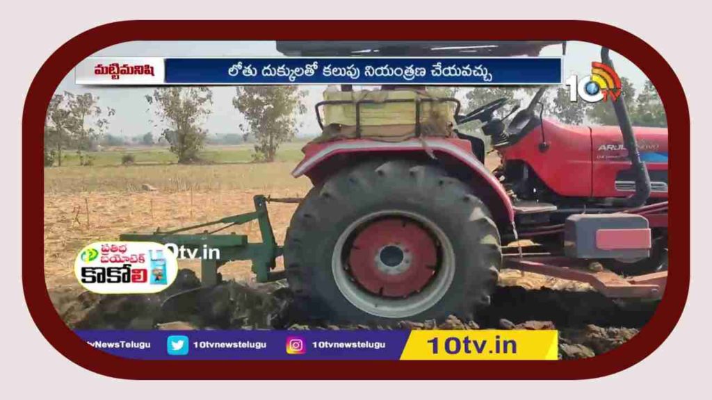 Summer Ploughing