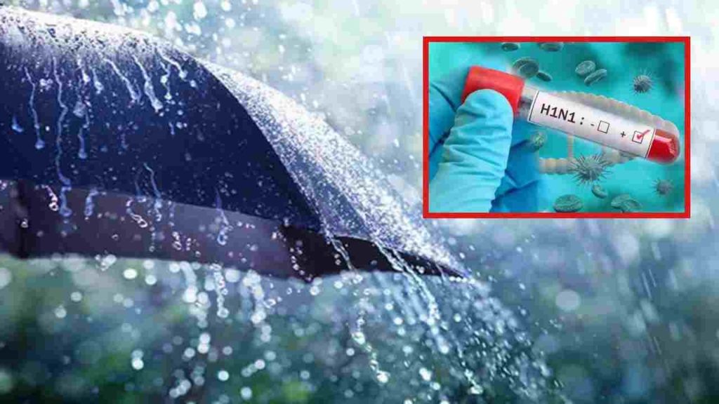 Swine Flu During Rainy Season