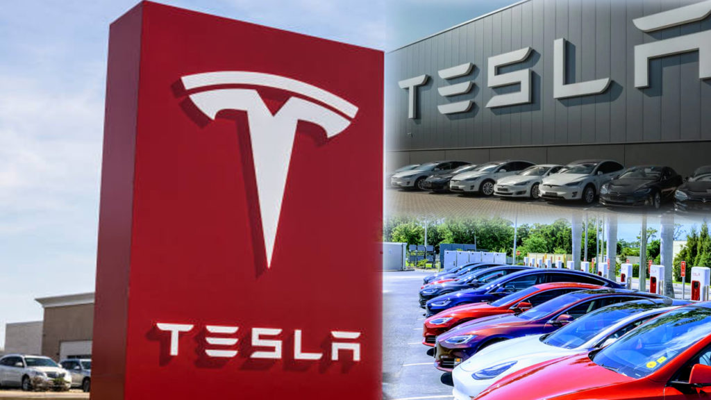 Tesla India Entry