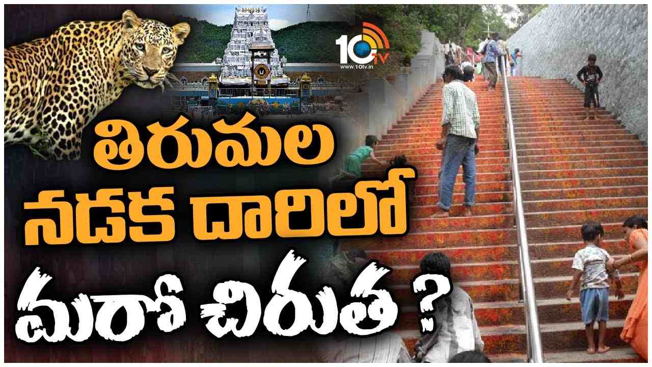 Leopard : తిరుమల నడక దారిలో కొనసాగుతున్న ఆపరేషన్ చిరుత