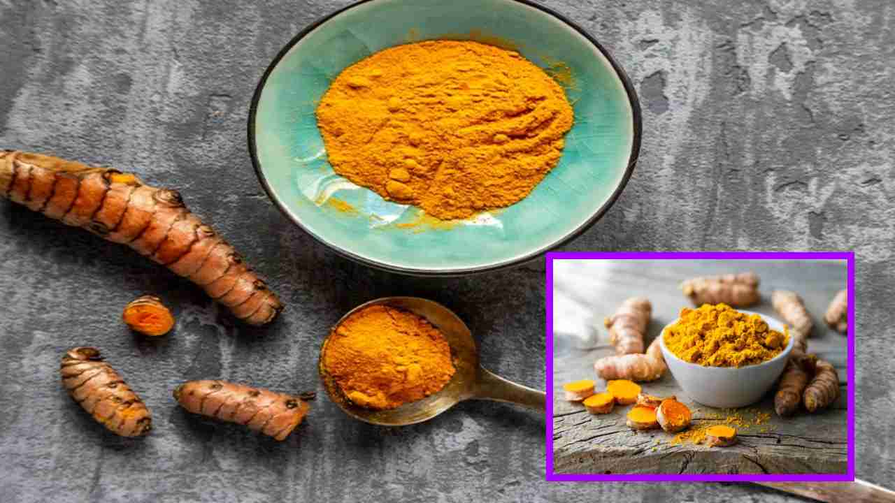 Turmeric Powder : ఆరోగ్య ప్రయోజనాల కోసం ఎలాంటి పసుపు పొడిని ఎంచుకోవాలి, ఖాళీ కడుపుతో దీనిని తీసుకోవటం వల్ల కలిగే ప్రయోజనాలు ! Turmeric Powder : ఆరోగ్య ప్రయోజనాల కోసం ఎలాంటి పసుపు పొడిని ఎంచుకోవాలి, ఖాళీ కడుపుతో దీనిని తీసుకోవటం వల్ల కలిగే ప్రయోజనాలు !