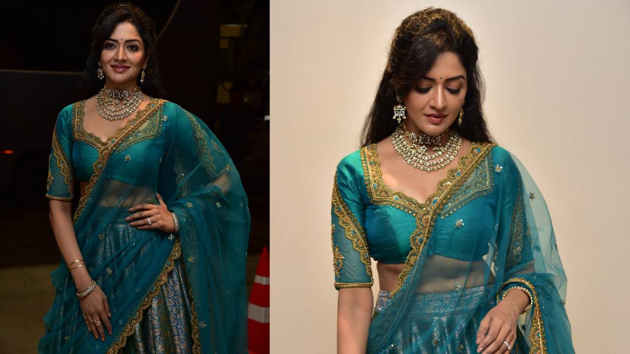 Vimala Raman : అందాల హొయలతో రామచిలుకని మరిపిస్తున్న విమలా రామన్‌..