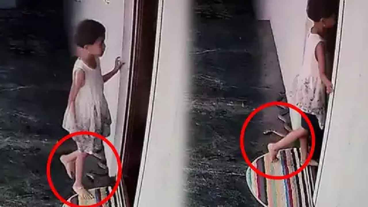 Viral Video : OMG.. తృటిలో పాము కాటు నుంచి తప్పించుకున్న చిన్నారి.. ఒళ్లుగగుర్పొడిచే వీడియో Viral Video : OMG.. తృటిలో పాము కాటు నుంచి తప్పించుకున్న చిన్నారి.. ఒళ్లుగగుర్పొడిచే వీడియో