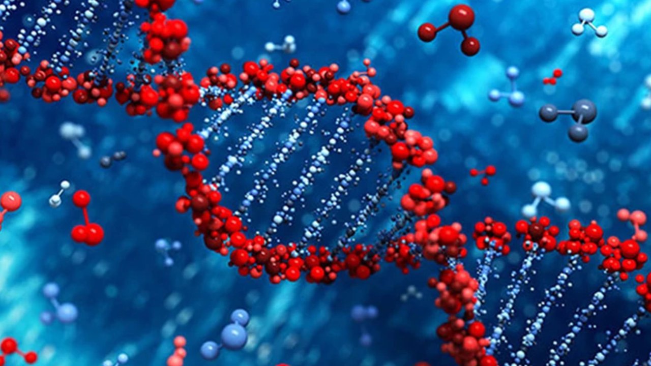 DNA Test: డీఎన్ఏ పరీక్షల ఆధారంగా చిన్నారుల కెరీర్ ప్రణాళిక చేసుకోవచ్చా? ఇందుకోసం సాప్ట్వేర్ సిద్ధమైందట! DNA Test: డీఎన్ఏ పరీక్షల ఆధారంగా చిన్నారుల కెరీర్ ప్రణాళిక చేసుకోవచ్చా? ఇందుకోసం సాప్ట్వేర్ సిద్ధమైందట!