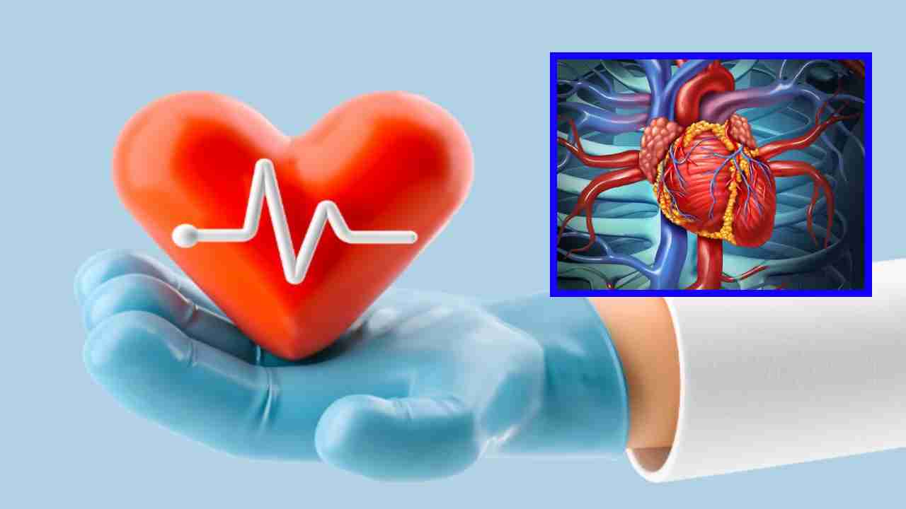 Bypass Surgery : బైపాస్ సర్జరీ ఎప్పుడు అవసరం? తీవ్రమైన ఛాతీ నొప్పి ఉన్నవారందరికి ఇది అవసరమా ? Bypass Surgery : బైపాస్ సర్జరీ ఎప్పుడు అవసరం? తీవ్రమైన ఛాతీ నొప్పి ఉన్నవారందరికి ఇది అవసరమా ?