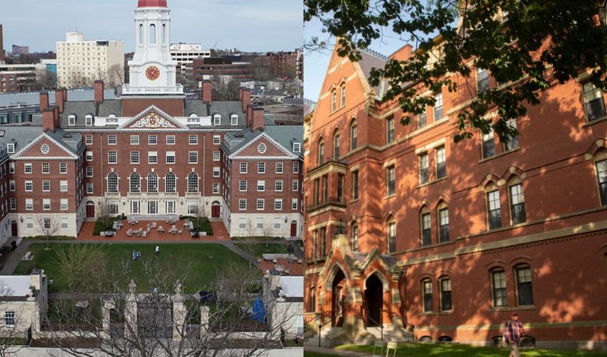 harvard university