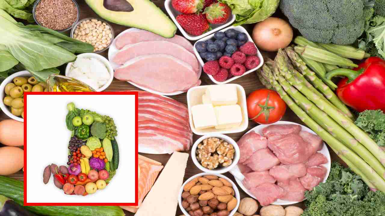 Important Healthy Foods : శరీరానికి పోషణనిచ్చే ముఖ్యమైన ఆరోగ్యకరమైన ఆహారాలు ఇవే ! Important Healthy Foods : శరీరానికి పోషణనిచ్చే ముఖ్యమైన ఆరోగ్యకరమైన ఆహారాలు ఇవే !