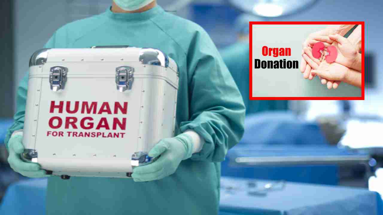 Organ Donation : భారతదేశం అవయవ దానం విషయంలో ఎందుకు వెనుకబడి ఉందంటే ? Organ Donation : భారతదేశం అవయవ దానం విషయంలో ఎందుకు వెనుకబడి ఉందంటే ?