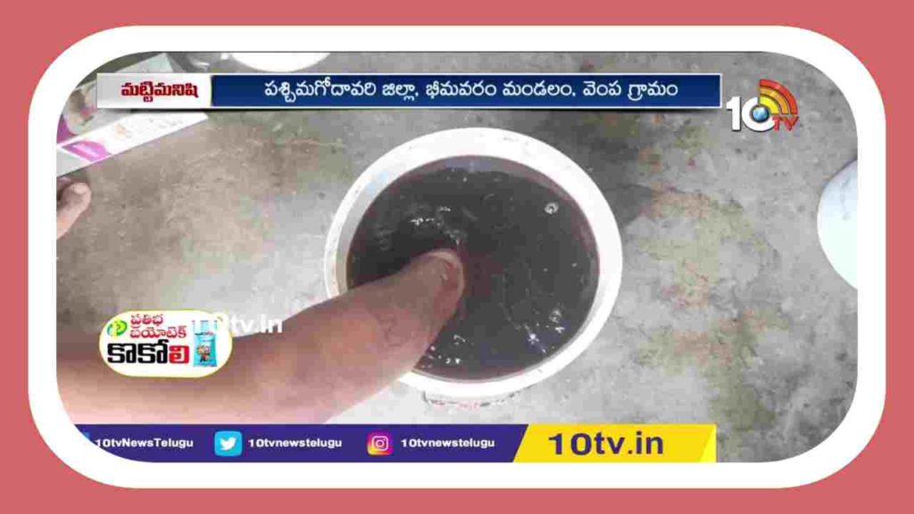 prevent common shrimp diseases