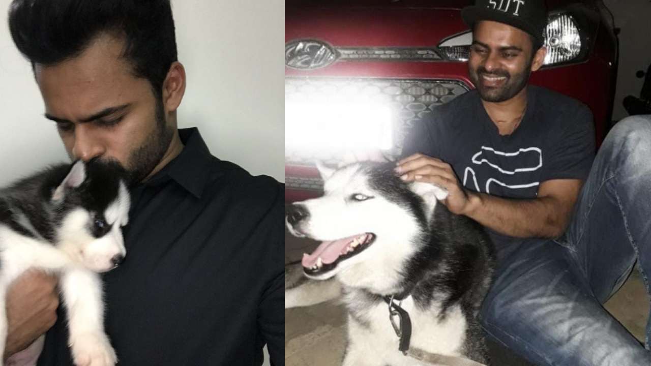 Sai Dharam Tej : నా టాంగో ఇకపై లేదు.. ఎమోషనల్ పోస్ట్ చేసిన సాయి ధరమ్ తేజ్.. Sai Dharam Tej : నా టాంగో ఇకపై లేదు.. ఎమోషనల్ పోస్ట్ చేసిన సాయి ధరమ్ తేజ్..