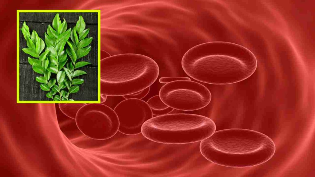 treatment for anemia