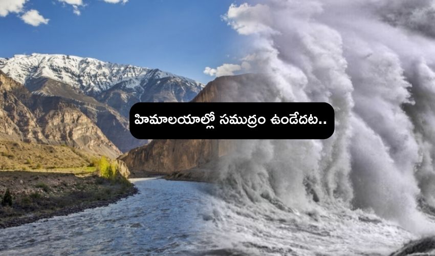 600 million years old sea Himalayan mountains