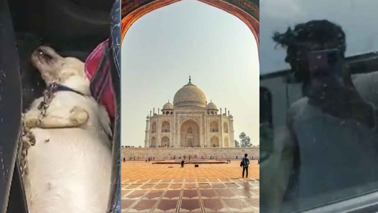 Agra : గుండెలు పిండే విషాదం.. కారులో ఊపిరాడక చనిపోయిన శునకం, వాళ్లసలు మనుషులేనా? ఏం చేసినా పాపం లేదు Agra : గుండెలు పిండే విషాదం.. కారులో ఊపిరాడక చనిపోయిన శునకం, వాళ్లసలు మనుషులేనా? ఏం చేసినా పాపం లేదు
