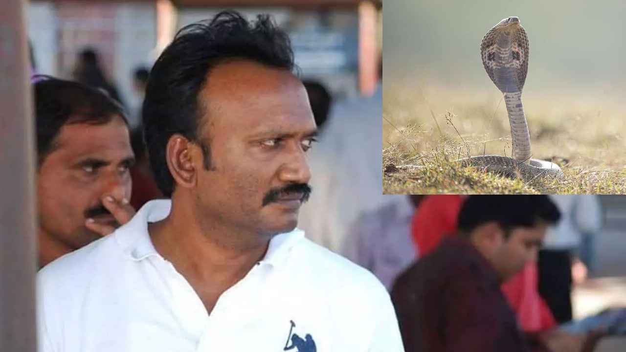 Amanchi Krishna Mohan : పాముకాటుకు గురైన వైసీపీ నేత, వెంటనే ఆసుపత్రికి తరలింపు, ఆందోళనలో కుటుంబసభ్యులు Amanchi Krishna Mohan : పాముకాటుకు గురైన వైసీపీ నేత, వెంటనే ఆసుపత్రికి తరలింపు, ఆందోళనలో కుటుంబసభ్యులు