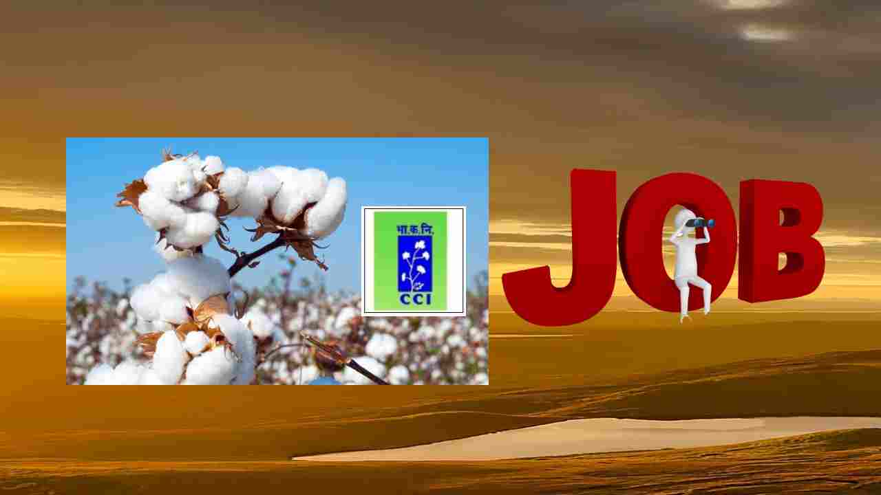 CCIL Recruitment : కాటన్ కార్పొరేషన్ ఆఫ్ ఇండియాలో ఖాళీల భర్తీ CCIL Recruitment : కాటన్ కార్పొరేషన్ ఆఫ్ ఇండియాలో ఖాళీల భర్తీ