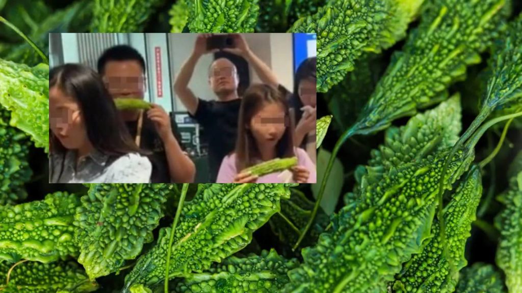 China Company Fed Bitter Gourd To Employees
