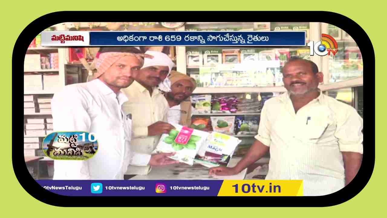 Cotton Seeds : ఒకే రకం పత్తి విత్తనాల సాగుకు రైతుల మొగ్గు.. Cotton Seeds : ఒకే రకం పత్తి విత్తనాల సాగుకు రైతుల మొగ్గు..