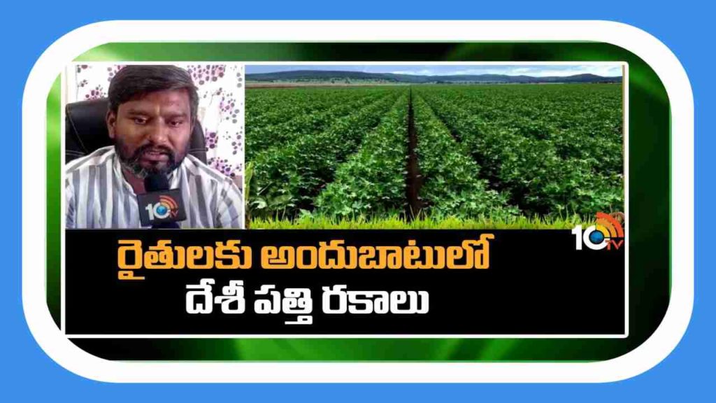 Cotton Varieties