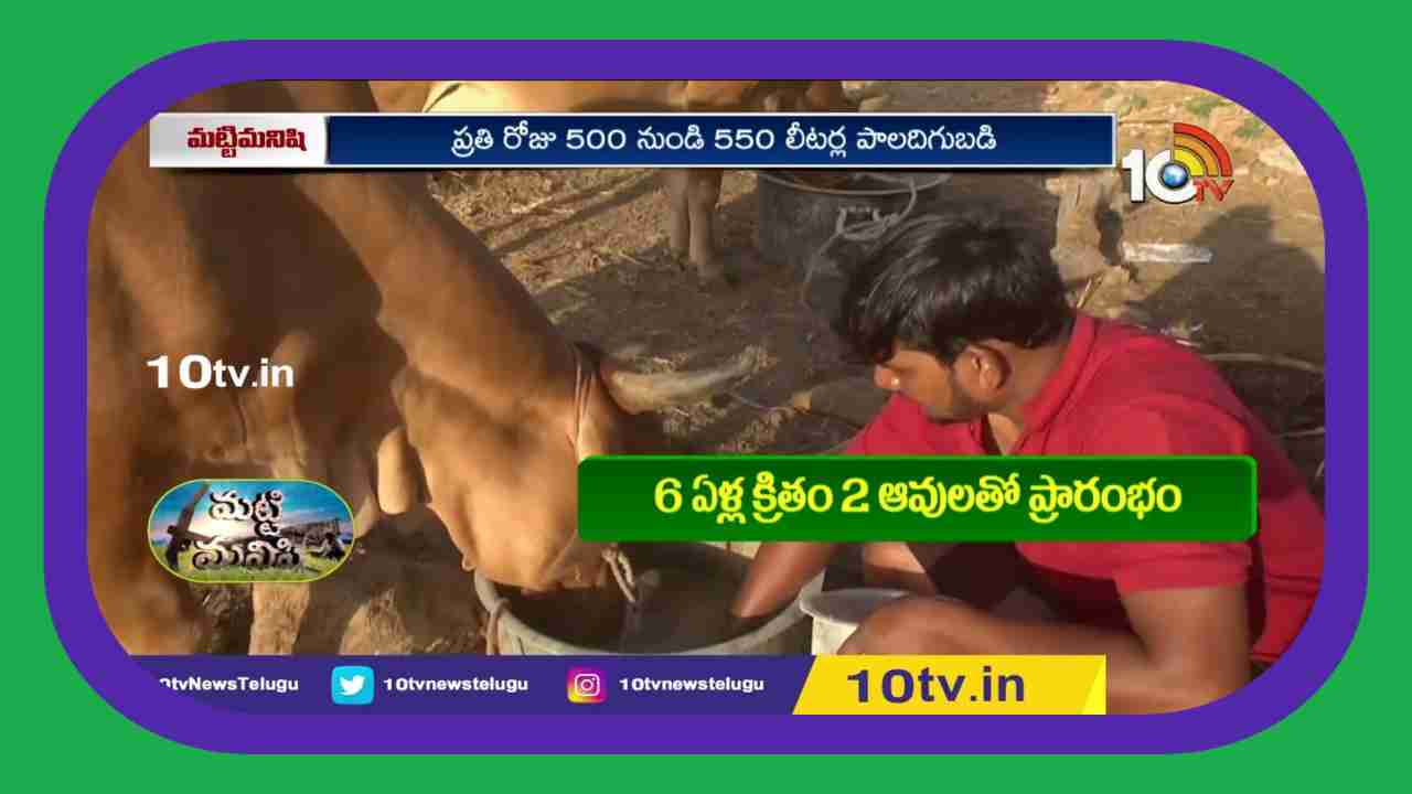 Managed Cow Dairy : పశువులపై ఉన్నమమకారంతో ఆవుల డెయిరీ నిర్వహిస్తున్న సాఫ్ట్ వేర్ ఇంజినీర్ Managed Cow Dairy : పశువులపై ఉన్నమమకారంతో ఆవుల డెయిరీ నిర్వహిస్తున్న సాఫ్ట్ వేర్ ఇంజినీర్