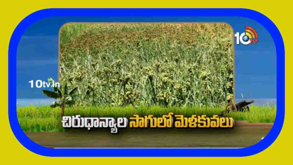 Cultivation Of Crops