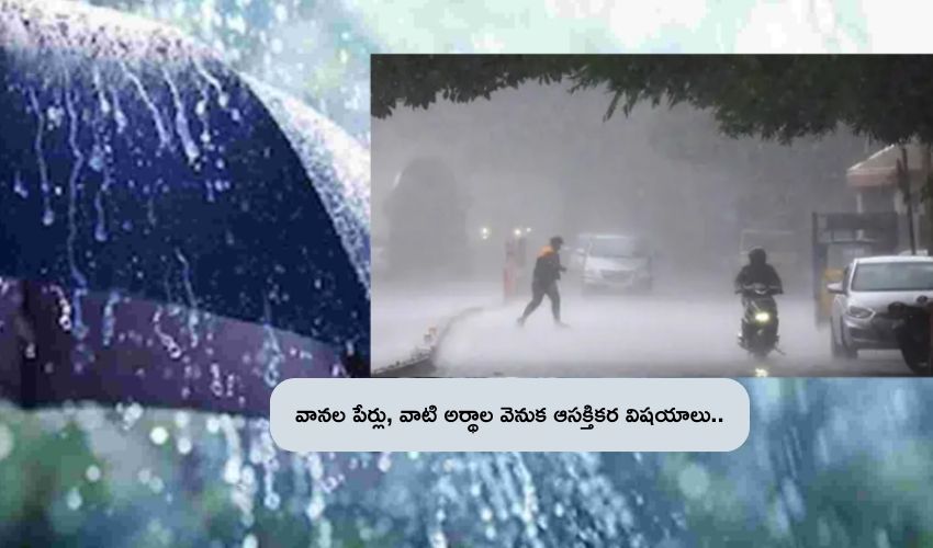 Names of Rains : వానల్లో ఎన్ని రకాలున్నాయో తెలుసా..? వాటి పేర్లు, అర్థాల్లో ఆసక్తికర విషయాలు.. Names of Rains : వానల్లో ఎన్ని రకాలున్నాయో తెలుసా..? వాటి పేర్లు, అర్థాల్లో ఆసక్తికర విషయాలు..