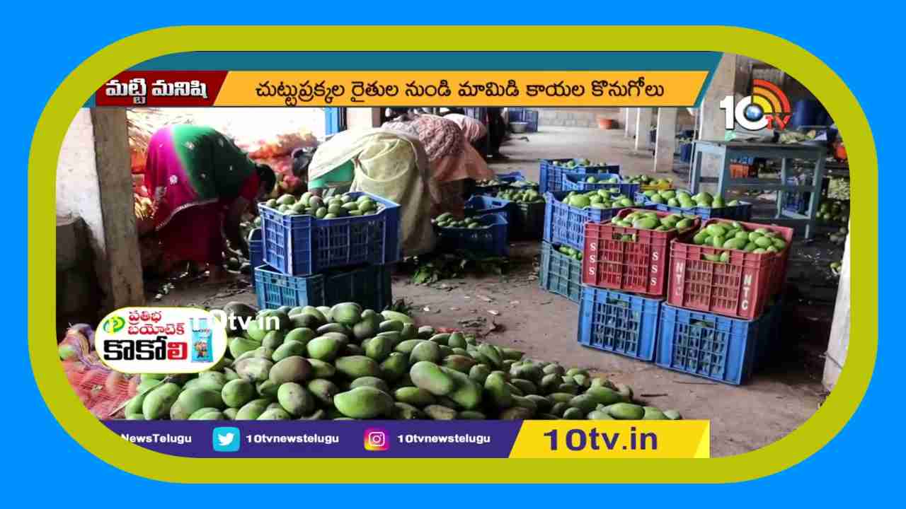 Export of Mango Slices : మామిడికాయ ముక్కల ఎగుమతితో అధిక లాభాలు ఆర్జిస్తున్న ఎన్టీఆర్ జిల్లా వాసి Export of Mango Slices : మామిడికాయ ముక్కల ఎగుమతితో అధిక లాభాలు ఆర్జిస్తున్న ఎన్టీఆర్ జిల్లా వాసి