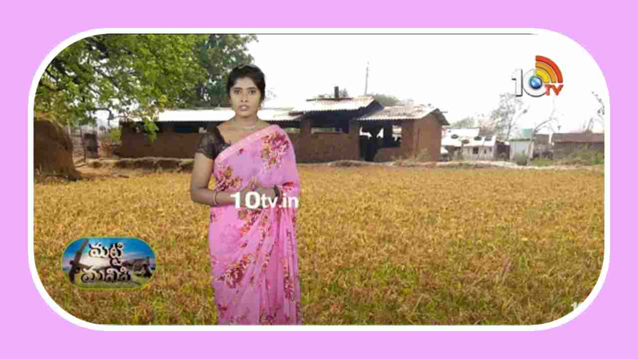 Finger Millet Varieties : ఖరీఫ్ కు అనువైన రాగి రకాలు.. అధిక దిగుబడుల కోసం మేలైన యాజమాన్య పద్ధతులు Finger Millet Varieties : ఖరీఫ్ కు అనువైన రాగి రకాలు.. అధిక దిగుబడుల కోసం మేలైన యాజమాన్య పద్ధతులు