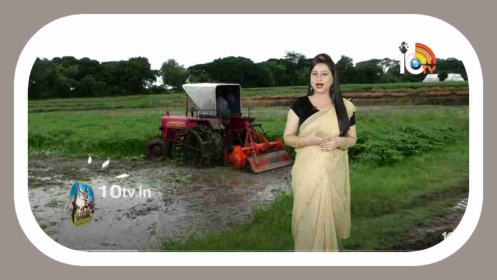 Green Manure Cultivation