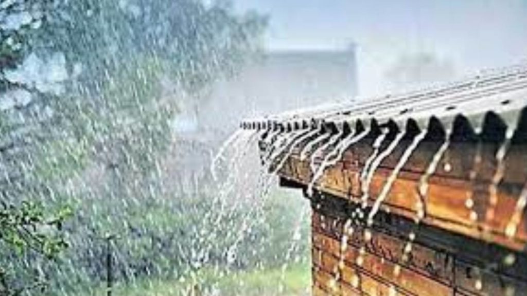 Heavy Rains (7)
