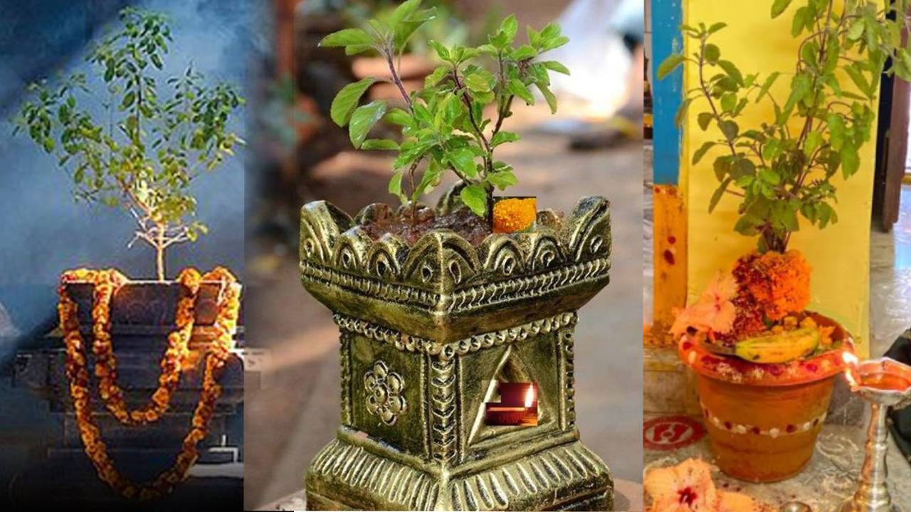 Sravana Masam 2023 : కష్టాలు,కన్నీళ్లు గట్టెక్కించే ‘కన్నె తులసి నోము’గురించి తెలుసా..? Sravana Masam 2023 : కష్టాలు,కన్నీళ్లు గట్టెక్కించే ‘కన్నె తులసి నోము’గురించి తెలుసా..?