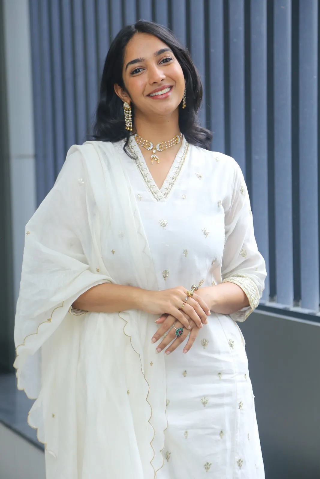 Karthika Muralidharan Photos at Aakasham Daati Vastava Movie Press Meet